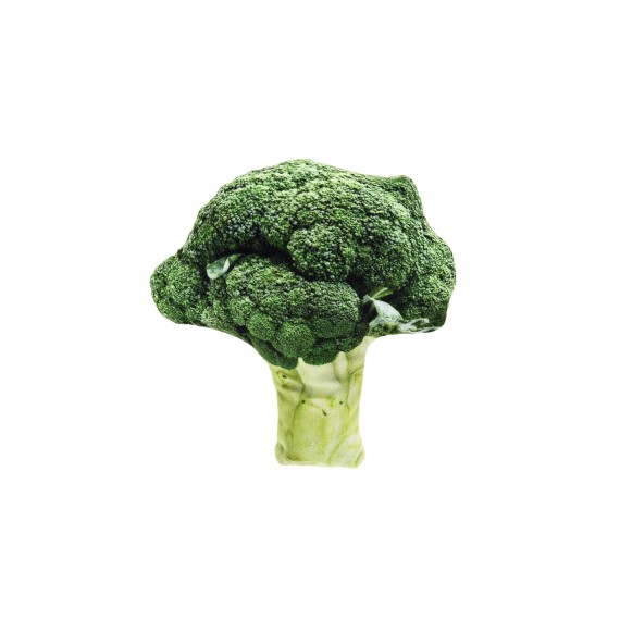 Jouet pour chat Brocolli Matatabi - Motif végétal réaliste - Jeu interactif - Polyester doux