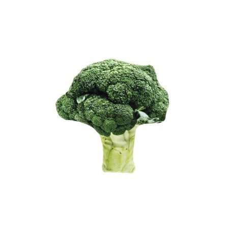 Jouet pour chat Brocolli Matatabi - Motif végétal réaliste - Jeu interactif - Polyester doux
