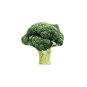 Jouet pour chat Brocolli Matatabi - Motif végétal réaliste - Jeu interactif - Polyester doux