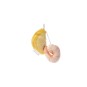 Jouet interactif pour chat en forme de crevettes Matatabi - Matatabi et polyester - 9 x 4 x 2,5 cm