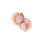 Jouet interactif pour chat en forme de coquilles Saint-Jacques Matatabi - Matatabi et polyester - 12 x 9 x 2,5 cm