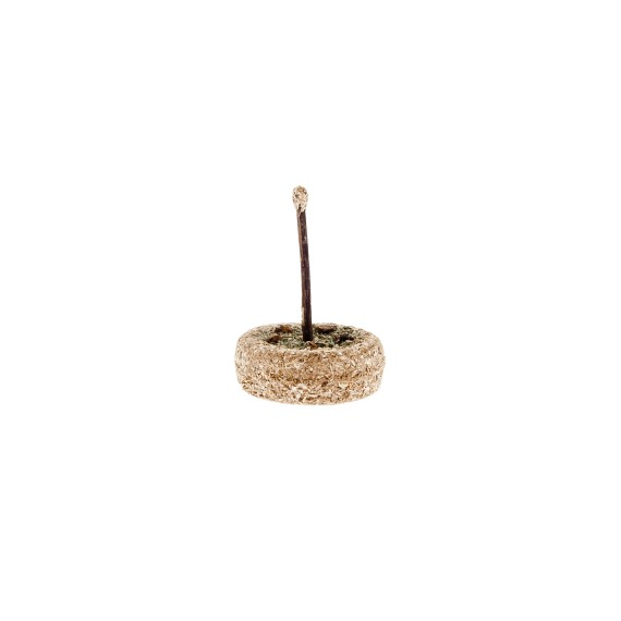 Gâteau Matatabi - Jouet à mâcher naturel - Lot de 6 - Ø5,5 x 2 cm