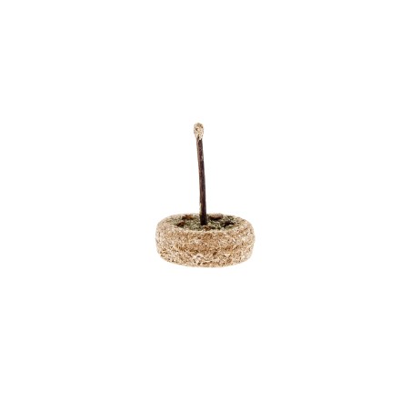 Gâteau Matatabi - Jouet à mâcher naturel - Lot de 6 - Ø5,5 x 2 cm