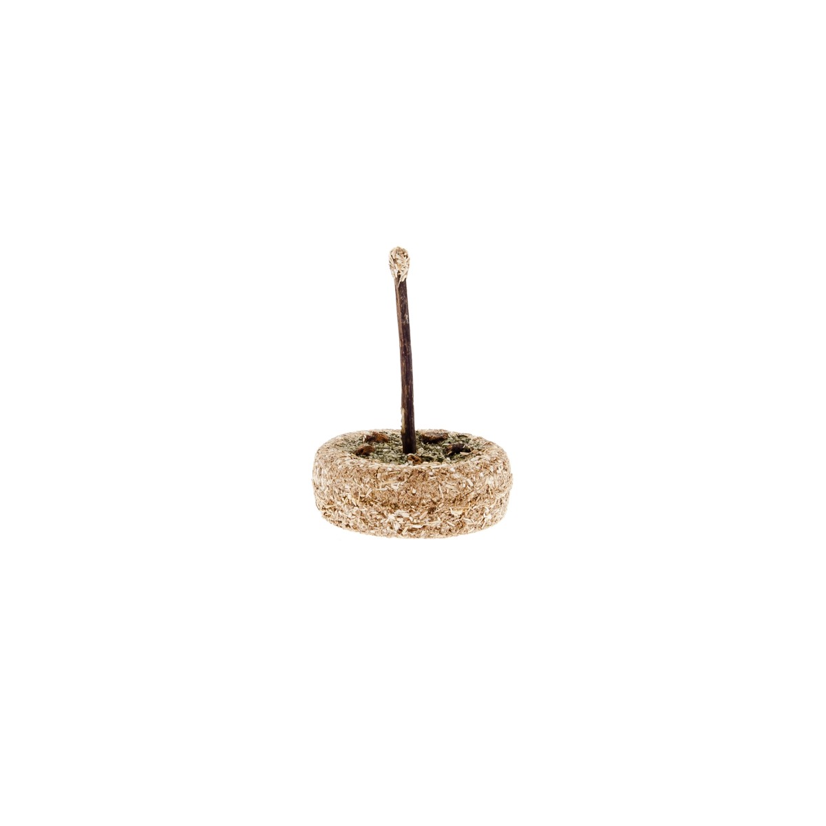 Gâteau Matatabi - Jouet à mâcher naturel - Lot de 6 - Ø5,5 x 2 cm